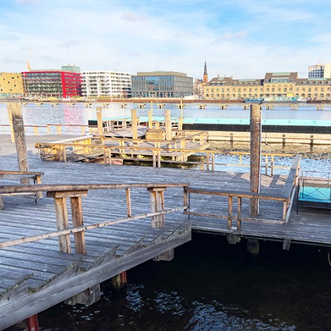 Steg am Badeschiff