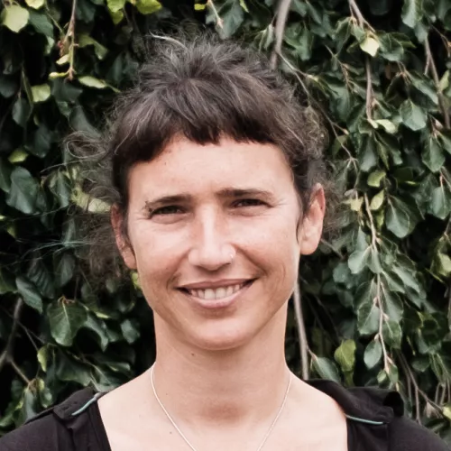 Ariane Krause